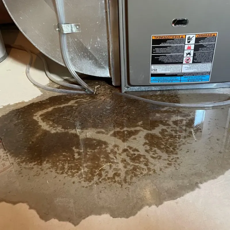 Pipe Burst and Leak Restoration in Fallsburg, NY